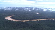 Rainforest And Oil Plantation Near Kinabatangan River