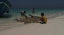 Shark Finning, Tail Fin Cut Off And Passed To Children In Sea