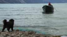 Inuit Man Setting Fishing Net From Freighter Canoe With Dog, Coronation Fiord, Auyuittuq National Park, Baffin Island