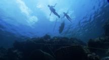 Indigenous Boys Freediving To Fish Trap