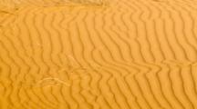 UT, Coral Pink Sand Dunes State Park, Dunes Created From Eroding Navajo Sandsone, Wind Formed Ripple Pattern (Still Image Pan)