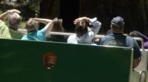 Visitors Ride Tram Through Mariposa Grove