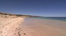 Beach View Mass Fish Die Ningaloo Reef Western Australia