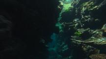 Gliding Through Dramatic Coral Reef Canyon
