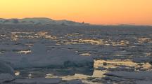 Antarctic Ice Floes, Sunset
