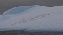 Adelie Penguins On Iceberg Under Stormy Sky
