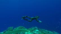 Diver With Camera Swims Over Reef