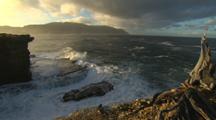 Coastal Views with Cliffs and Waves, Tasmania