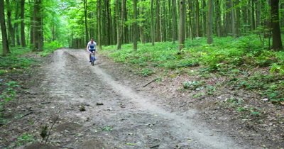Cyclist riding the bike on the trail in the beautiful summer forest