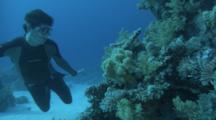 Free Diver Looking At A Lion Fish On The Reef