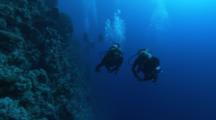 Scuba Divers Swimming Along The Reef