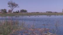 Panorama Hippos Submerged In Wetland