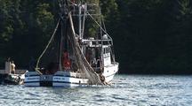 Commercial Fishing. Purse Seiner Closing The Net.