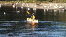 Sea Kayaking In A  River Estuary