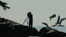 Cinematographer Films The Sitka Sound Sac Roe Herring Fishery