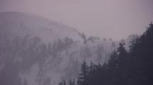 Alpine Snow Storm