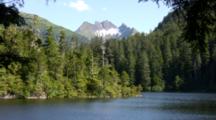 Alpine Scenery With Lake And Coniferous Forest