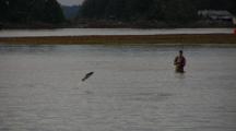 Salmon Jumping Near A Fly Fisherman