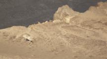 Cineflex Aerial White Wolf Trots Sniffs Ground Near Brown Tundra Bluff Edge