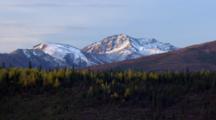 Zoom In Over Conifer Boreal Forest To Alpenglow Snowy Mountains Denali National Park And Preserve
