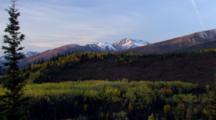 Beautiful Evening Alpenglow On Snowy Mountain Zoom Out Reveal Golden Autumn Birch Forest