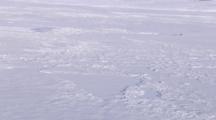 Zatzworks Cineflex Aerials Ice And Snow Covered Bering Sea Tilt Up To Wide Shot Reveal Tiny Dog Team In Background Vast Western Alaska Bering Sea Area