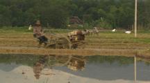 Technology Of Farming In China Using Gas Powered Tractor In Rice Field Farming