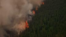 Fire Raging In Alaska Forest Red Flames