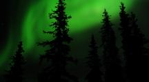 Northern Lights Over Borreal Forest Aurora Green Timelapse Arctic Alaska Toursim