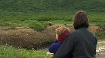 Grizzly Bear Walking Through Grass And Alder Pull To Reveal Hikers Watching