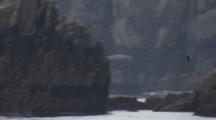 Horned Puffin Flies Past Dark Cliffs Beautiful Scenic Coast