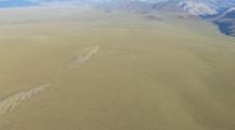 Arctic Aerial Cineflex Golden Brown Bear Follows Long Shadow Across Tundra Pull To Reveal Barren Windswept Landscape