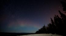 Time Lapse Northern Lights (Aurora Borealis) With Pine Tree Landscape