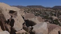 Catavina Boulder Field, Cardon Cacti
