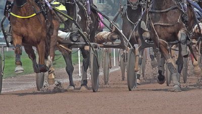 Horse racing, French Trotter, harness racing at racecourse, Caen, Normandy, France