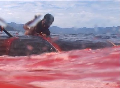 Whalehunters cutting wounds on spermwhale