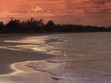 Tropical Ocean Waves Sweep Up Sandy Beach Under Pink Sunset Skies.