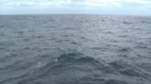 Stormy Seas, Waves, Ocean Surface, 4k