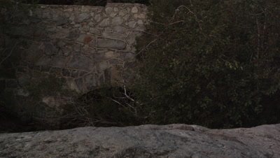 Shot of a dark stone wall with a tree creeping in on the right