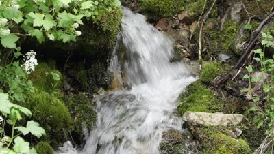 View of water flowing through mossy bank.