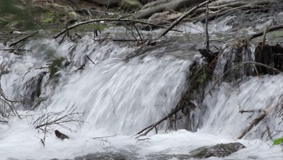 Water running down stream through fallen branches