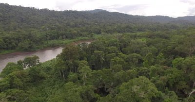 Aerial View Of Rain Forest In Peru, South America
