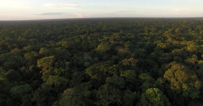 Aerial View Of Rain Forest In Peru, South America