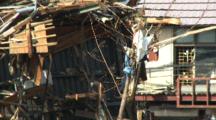 Debris Hangs In Tree After Tsunami In Japan