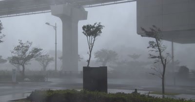 Intense Hurricane Wind Rain Rips Through City
