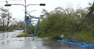 Downed Trees Block Road In Aftermath Of Major Hurricane Landfall