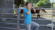 Man Talks On Phone Near Livestock Corral