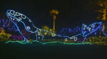 Elaborate Christmas Light Display In Shape Of Spouting Whale