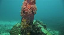 Wreck Of Betty Bomber, Mitsubishi G4m Bomber In Chuuk (Truk) Lagoon And Accessories