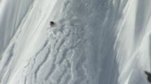 Heli-Skiing Creates Avalanche